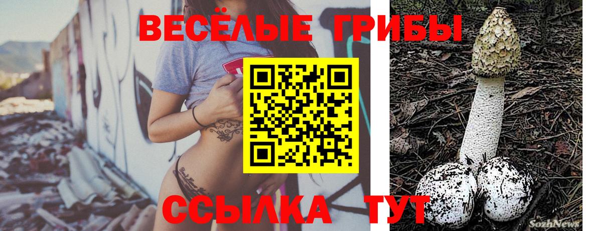 наркотики  Галлюциногенные грибы Magic Shrooms  Галлюциногенные грибы MAGIC MUSHROOMS  Вход с VPN  Камышлов 
